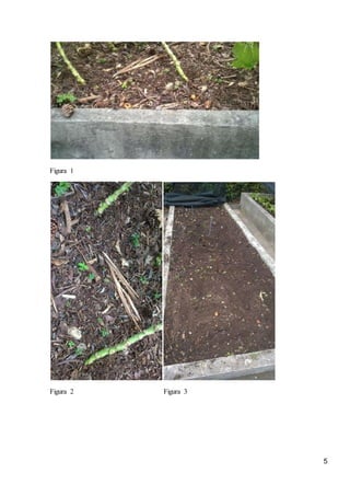 5
Figura 1
Figura 2 Figura 3
 