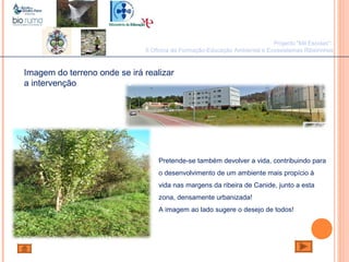 João Paulo Silva
Imagem do terreno onde se irá realizar
a intervenção
Pretende-se também devolver a vida, contribuindo para
o desenvolvimento de um ambiente mais propício à
vida nas margens da ribeira de Canide, junto a esta
zona, densamente urbanizada!
A imagem ao lado sugere o desejo de todos!
Projecto "Mil Escolas":
II Oficina de Formação-Educação Ambiental e Ecossistemas Ribeirinhos
 