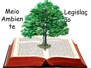 Meio Ambiente
Legalidade
Meio
Ambien
te
Legislaç
ão
 