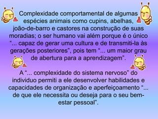 Complexidade comportamental de algumas
       espécies animais como cupins, abelhas,
  joão-de-barro e castores na construção de suas
moradias; o ser humano vai além porque é o único
“... capaz de gerar uma cultura e de transmiti-la às
gerações posteriores”, pois tem “... um maior grau
         de abertura para a aprendizagem”.

    A “... complexidade do sistema nervoso” do
 individuo permiti a ele desenvolver habilidades e
capacidades de organização e aperfeiçoamento “...
 de que ele necessita ou deseja para o seu bem-
                   estar pessoal”.
 