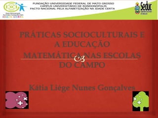 PRÁTICAS SOCIOCULTURAIS E
A EDUCAÇÃO
MATEMÁTICA NAS ESCOLAS
DO CAMPO
Kátia Liége Nunes Gonçalves
 