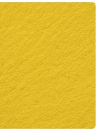 Educação econômica