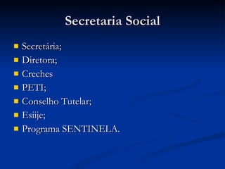 Secretaria Social Secretária; Diretora; Creches PETI; Conselho Tutelar; Esiije; Programa SENTINELA. 