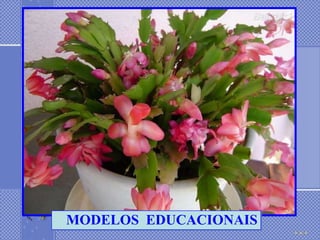 MODELOS EDUCACIONAIS
 