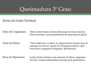 Queimadura 3º Grau
Zona de Coagulação: Parte central onde ocorreu destruição de lesão máxima.
Zona necrótica, sem possibilidade de reparação tecidual;
Zona de Estase: Parte adjacente a central, as células foram lesadas mas de
maneira reversível. Aporte de O2 imprescindível, após
lesão fluxo sanguíneo estagnado. Reanimação.
Zona de Hiperemia: Lesão celular mínima com aumento do fluxo sanguíneo
devido a reação inflamatória iniciada pela queimadura.
Zonas da Lesão Tecidual
 