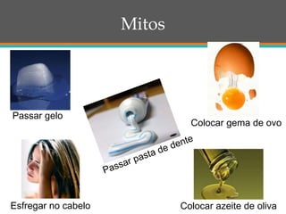 Mitos
Colocar azeite de oliva
Passar gelo
Esfregar no cabelo
Colocar gema de ovo
 