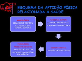 ESQUEMA DA APTIDÃO FÍSICA
RELACIONADA À SAÚDE
 