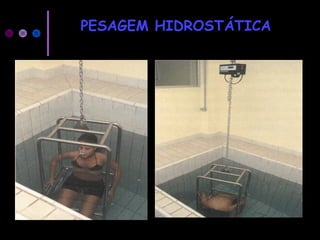 PESAGEM HIDROSTÁTICA
 
