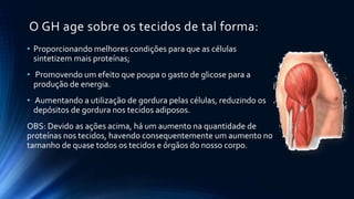 O GH age sobre os tecidos de tal forma:
• Proporcionando melhores condições para que as células
sintetizem mais proteínas;
• Promovendo um efeito que poupa o gasto de glicose para a
produção de energia.
• Aumentando a utilização de gordura pelas células, reduzindo os
depósitos de gordura nos tecidos adiposos.
OBS: Devido as ações acima, há um aumento na quantidade de
proteínas nos tecidos, havendo consequentemente um aumento no
tamanho de quase todos os tecidos e órgãos do nosso corpo.
 