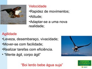 Velocidade
•Rapidez de movimentos;
•Atitude;
•Adaptar-se a uma nova
realidade;
Agilidade
•Leveza, desembaraço, vivacidade;
•Mover-se com facilidade;
•Realizar tarefas com eficiência.
• “Mente ágil, corpo ágil”
“Boi lerdo bebe água suja”
 
