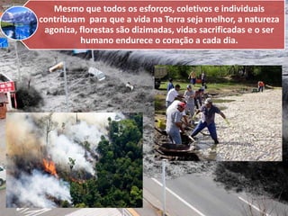 Mesmo que todos os esforços, coletivos e individuais
contribuam para que a vida na Terra seja melhor, a natureza
agoniza, florestas são dizimadas, vidas sacrificadas e o ser
humano endurece o coração a cada dia.

 