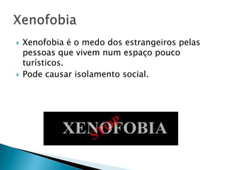    Xenofobia é o medo dos estrangeiros pelas
    pessoas que vivem num espaço pouco
    turísticos.
   Pode causar isolamento social.
 