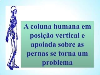 A coluna humana em
  posição vertical e
  apoiada sobre as
 pernas se torna um
      problema
 