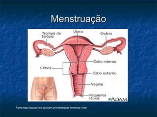 Menstruação




Fonte:http://saude.hsw.uol.com.br/infertilidade-feminina1.htm
 