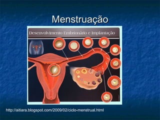 Menstruação




http://aitiara.blogspot.com/2009/02/ciclo-menstrual.html
 