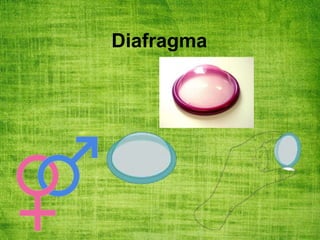 Diafragma
 