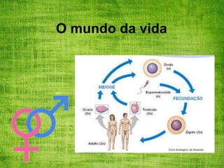 O mundo da vida
 