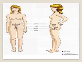 A nossa cultura e meio familiar têm um peso muito grande nas nossas percepções e crenças acerca da sexualidade.