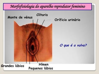 Muitas vezes assumimos como certezas coisas que na realidade são mitos. Para vivermos a sexualidade de forma feliz e positiva precisamos de estar correctamente informados!