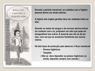 As estruturas ovarianas