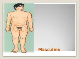 Durante o período menstrual, os cuidados com a higiene pessoal devem ser ainda maiores. 