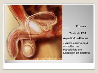 Fenómeno que consiste na desagregação do revestimento interno do útero.