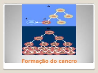 PRESERVATIVO MASCULINOColoque o preservativocom o pénis em erecção antes de qualquer contacto genitalColoque o preservativosobre a glanderetirando o ar doreservatório deesperma
