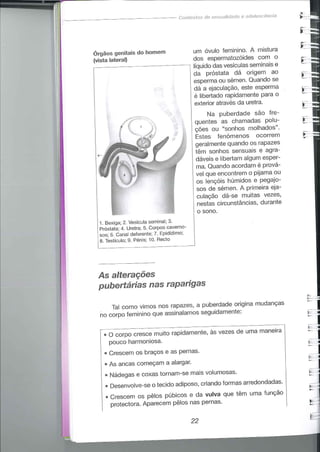 Educação sexual (pratica 2)