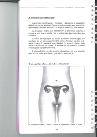 Educação sexual (pratica 2)