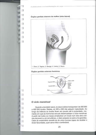 Educação sexual (pratica 2)