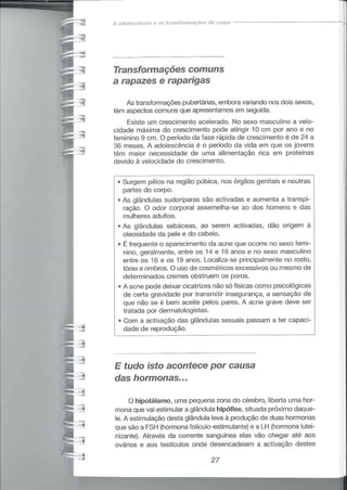 Educação sexual (pratica 2)