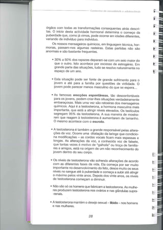 Educação sexual (pratica 2)