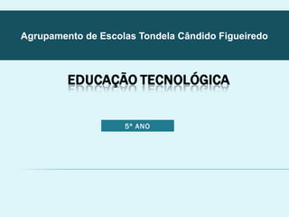 Agrupamento de Escolas Tondela Cândido Figueiredo 
5º ANO 
 