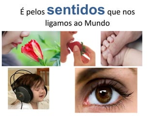 É pelos sentidosque nos
ligamos ao Mundo
 