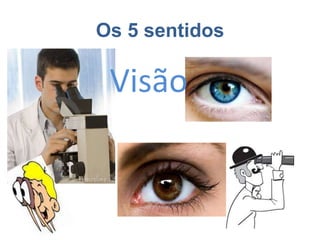 Os 5 sentidos
Visão
 
