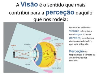 A Visão é o sentido que mais
contribui para a perceção daquilo
que nos rodeia:
Ao receber estímulos
visuais referentes a
uma imagem o nosso
cérebro, reconhece-a
dando conta de tudo o
que sabe sobre ela.
Perceção é a
resposta que o cérebro dá
aos estímulos dos
sentidos.
 