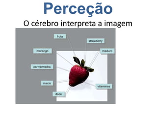 Perceção
O cérebro interpreta a imagem
 