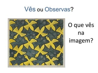 Vês ou Observas?
O que vês
na
imagem?
 