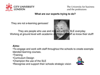 What are our experts trying to do? They are not e-learning geniuses! They are people who use and interact with the SLE everyday Working at ground level with academic and support staff so know their stuff! Aims: To engage and work with staff throughout the schools to create exempla blended learning courses. Training Curriculum Design Champion the use of the SLE Recognise and support their schools strategic vision 
