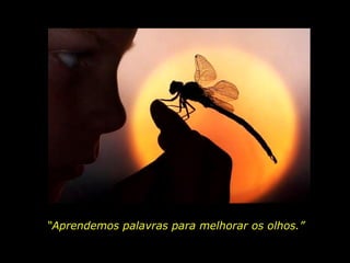 “ As palavras só têm sentido se nos ajudam a ver o mundo melhor. Aprendemos palavras  para melhorar os olhos.” Rubem Alves “ Aprendemos palavras para melhorar os olhos.” 