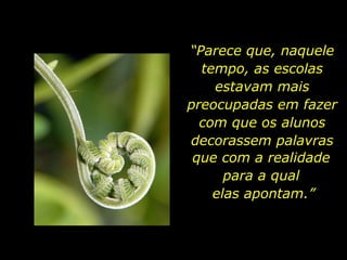 “ Parece que, naquele tempo, as escolas estavam mais preocupadas em fazer com que os alunos decorassem palavras que com a realidade  para a qual  elas apontam.” 