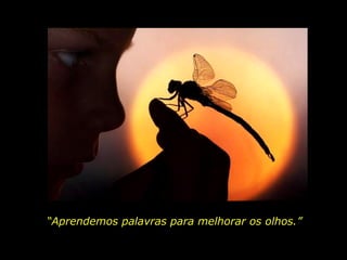 “ As palavras só têm sentido se nos ajudam a ver o mundo melhor. Aprendemos palavras  para melhorar os olhos.” Rubem Alves “ Aprendemos palavras para melhorar os olhos.” 