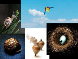 Coisas que  os eruditos  não vêem. ” 