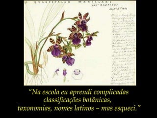 “ Na escola eu aprendi complicadas classificações botânicas,  taxonomias, nomes latinos – mas esqueci.” 