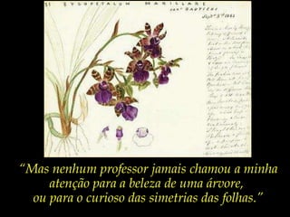 “ Mas nenhum professor jamais chamou a minha atenção para a beleza de uma árvore,  ou para o curioso das simetrias das folhas.” 