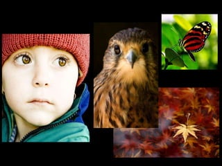 “ As palavras  só têm sentido  se nos ajudam a ver  o mundo melhor.” 