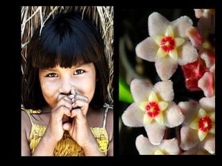 “ Jardins bonitos  há muitos, mas só traz alegria  o jardim que nascer dentro da gente.” Rubem Alves 