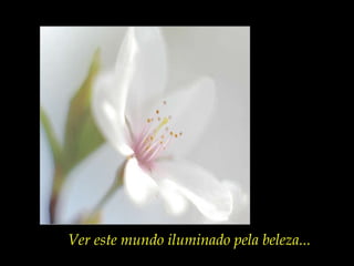 Ver este mundo iluminado pela beleza... Experiência mística  não é ver seres de um outro mundo.  É ver este mundo  iluminado pela beleza.” Rubem Alves “ As crianças não têm  idéias religiosas, mas têm experiências místicas. 