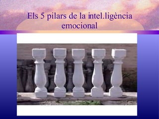 Els 5 pilars de la intel.ligència emocional 