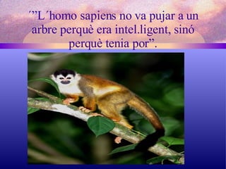 ´”L´homo sapiens no va pujar a un arbre perquè era intel.ligent, sinó perquè tenia por”. 
